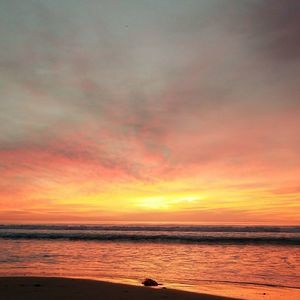 Meet your Posher, Acastaneda